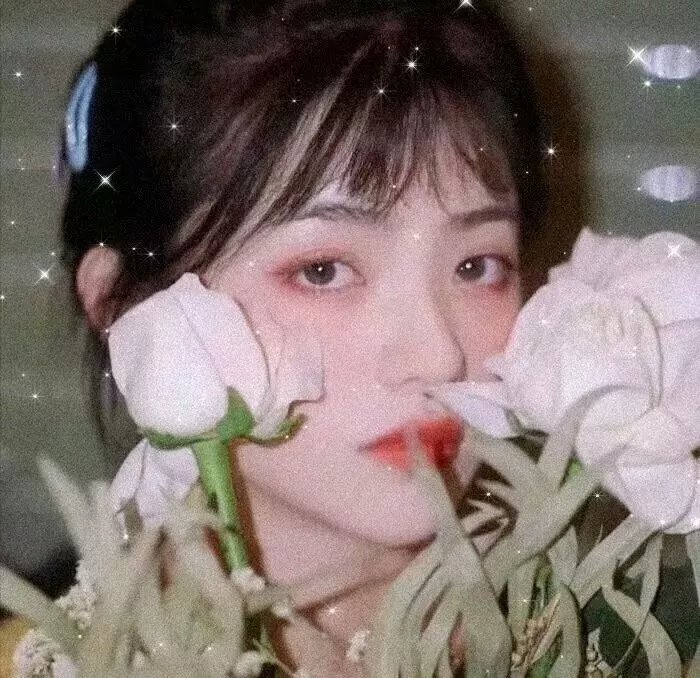 美国最后的处女 海报